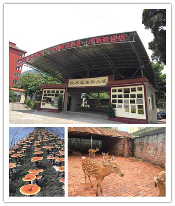 輕觸開關(guān)，輕觸開關(guān)廠家