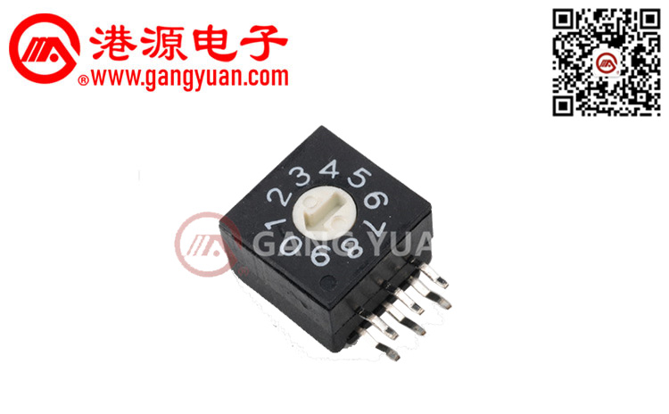 RS系列撥碼開關