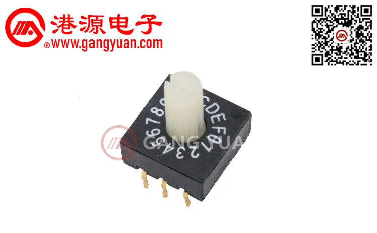 RS系列撥碼開關(guān)